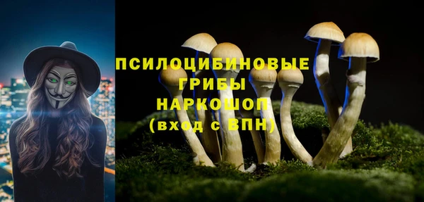 apvp Арсеньев