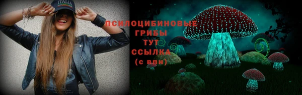 apvp Арсеньев