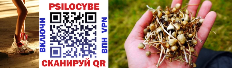 Псилоцибиновые грибы Psilocybe Опочка