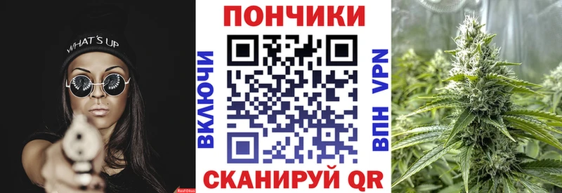 ссылка на мегу ССЫЛКА  Опочка  Бошки Шишки сатива  купить закладку 